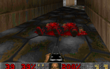 Screenshot_doom_20091121_132415